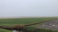 Landschaft im Nebel